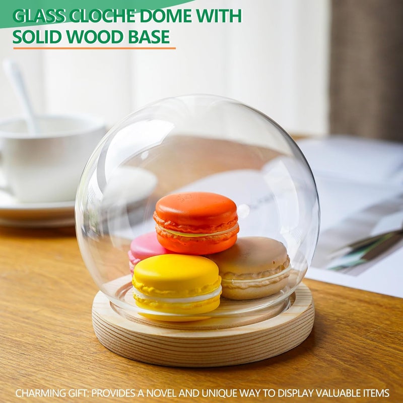 ZEERSHEE Round Glass Display Dome Cloche with Wooden Base for Home Decoration Diameter 4.7 Inches - Image 2